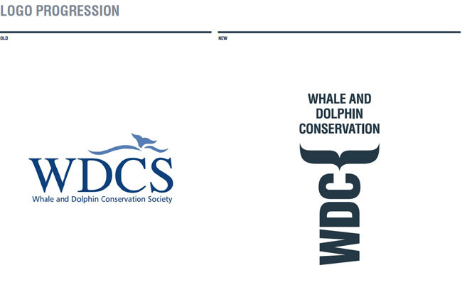 鲸鱼与海豚保护协会的新标志
