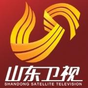  2010新气象：山东卫视改台标，湖南2套入主青海卫视